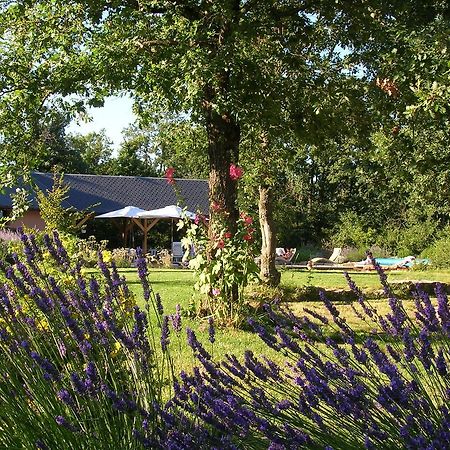 La Villa Des Pins Verrieres  Екстериор снимка