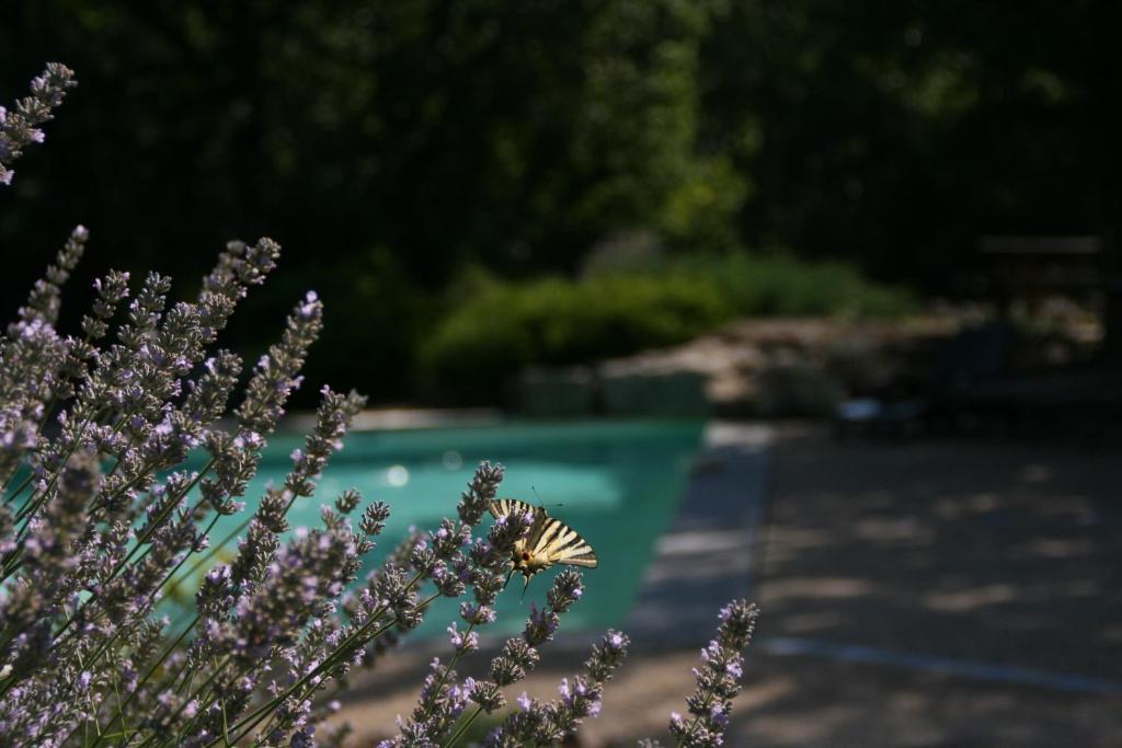 La Villa Des Pins Verrieres  Екстериор снимка