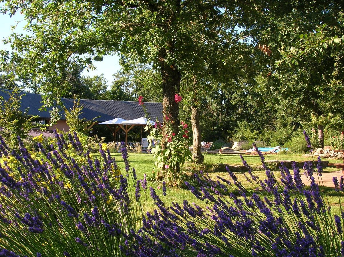 La Villa Des Pins Verrieres  Екстериор снимка